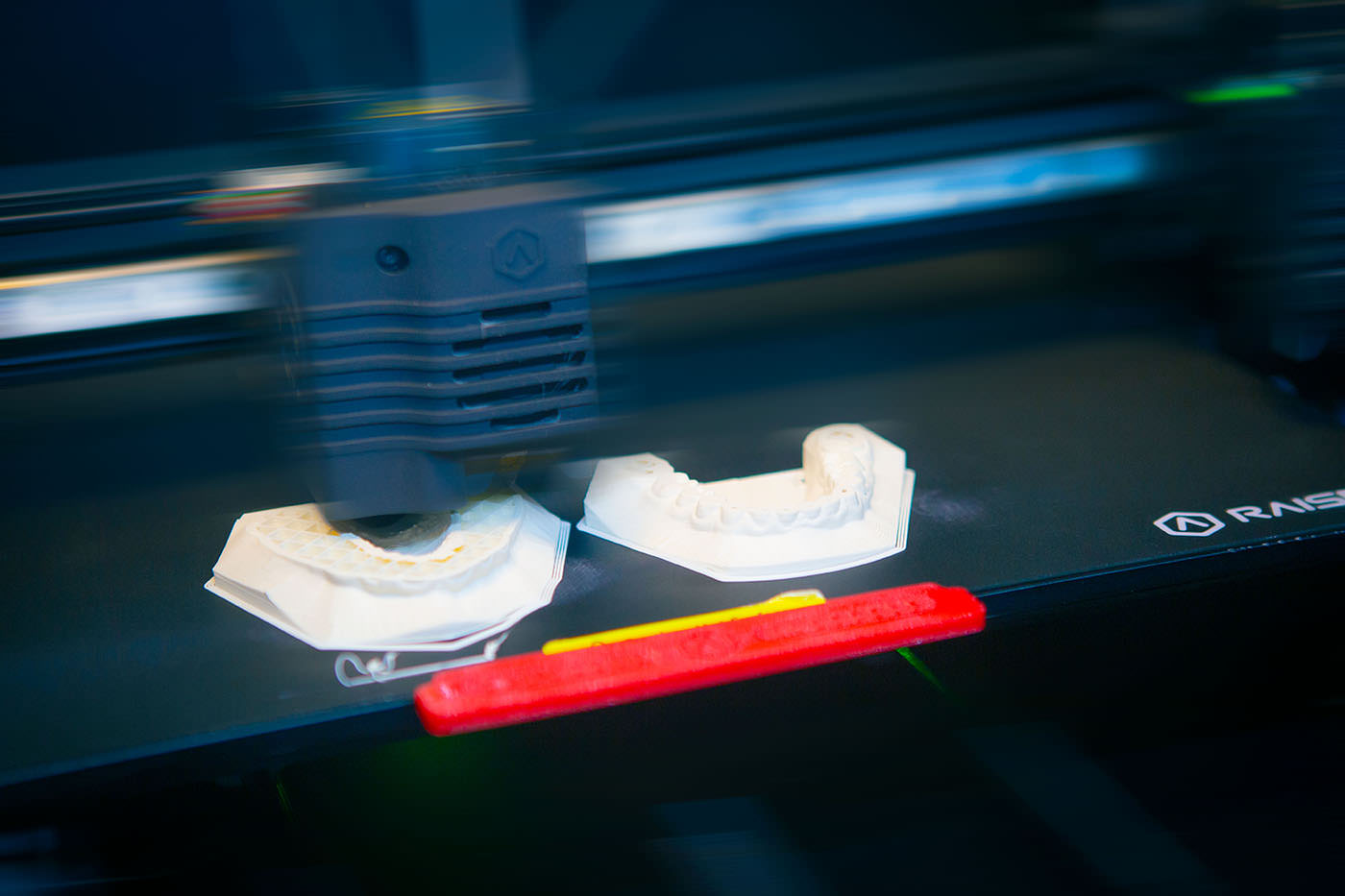 3D-Drucker bei der Herstellung dentaler Modelle. Zwei weiße Zahnabdruckformen entstehen Schicht für Schicht auf der Druckplattform eines RAISE3D-Druckers – moderner Einsatz digitaler Technologie in der Zahnmedizin.